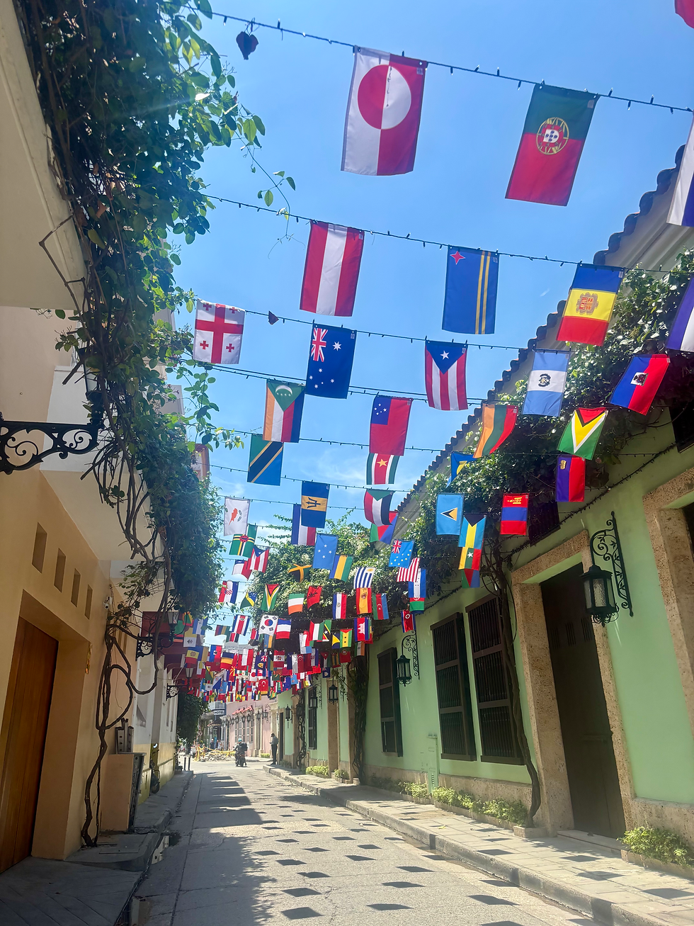 bet you can't name every flag