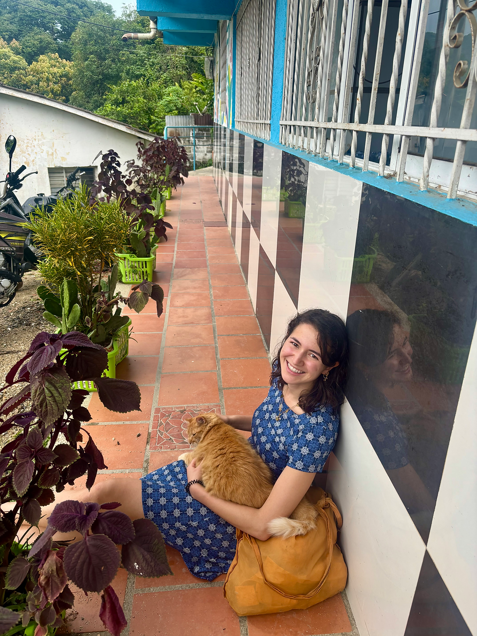 so many nice people. so many nice cats.