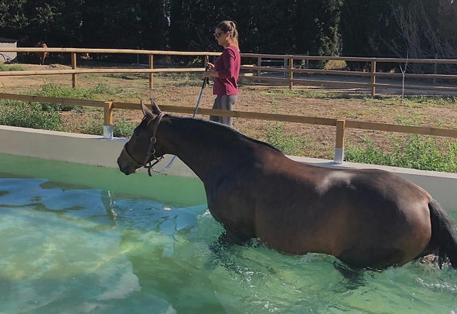 bassin samba_edited.jpg