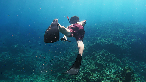 名称未設定 1.png