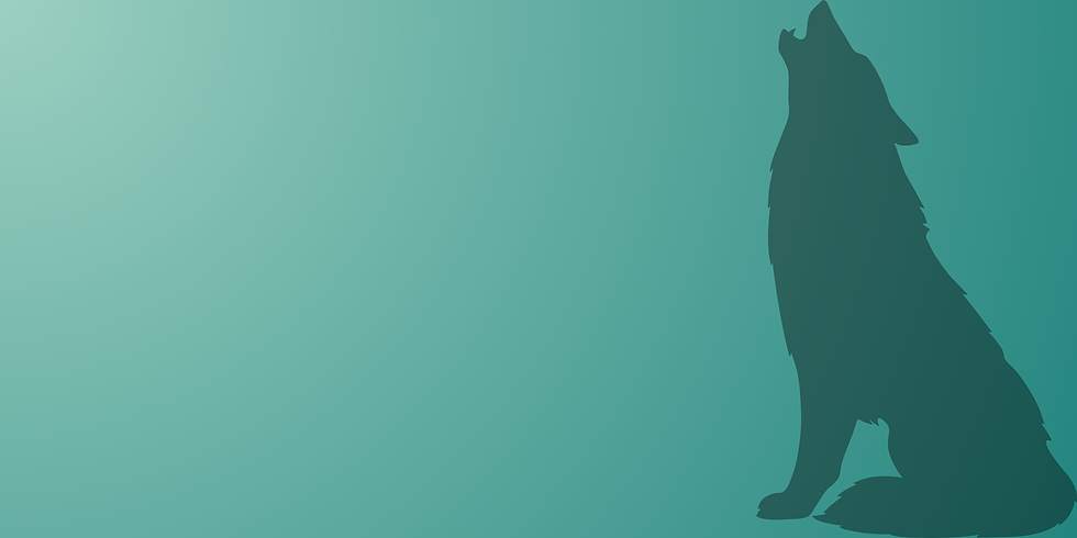 Design sem nome (3).png