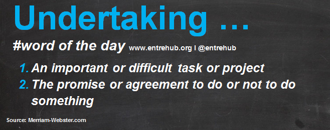 Undertaking