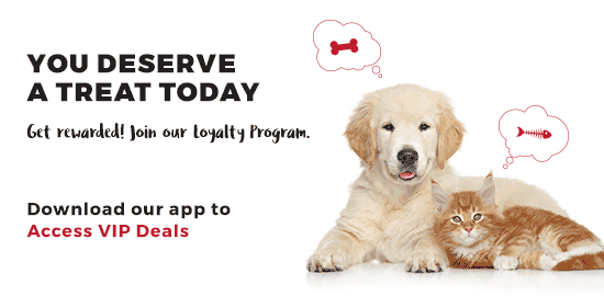 V2P_MarketingMaterials_FBAd_TreatToday_F