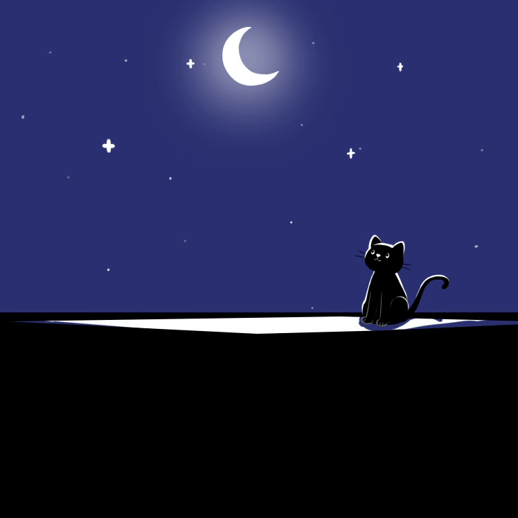 縮圖：Premium Cute Black Cat In The Moonlight (Video)