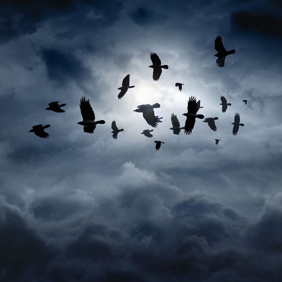 Raben am Himmel als Symbol für Verwandlungen und Verwünschungen in Grimms Märchen