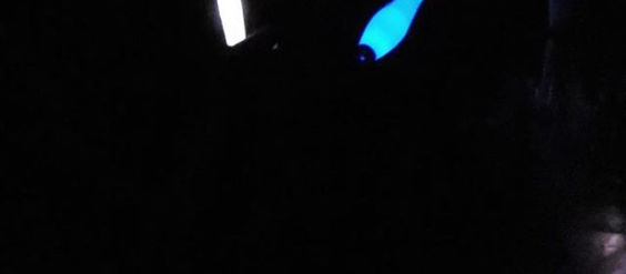 Circus Jam are Back! Every Sunday 6PM to 10 PM @FlowJuggle @TheFloasis