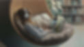342.169-topaz-upscale-1.6x-crop.jpeg