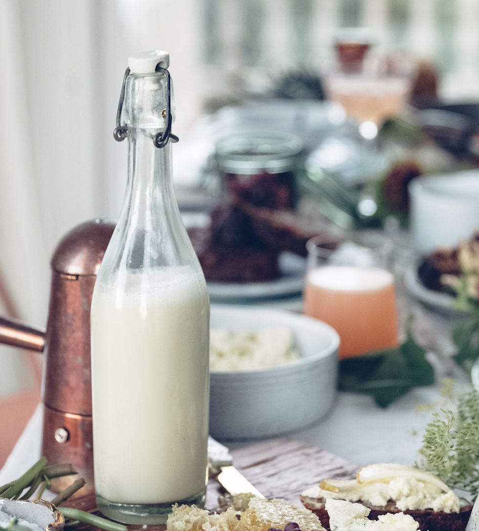 Arranged Food and Objects