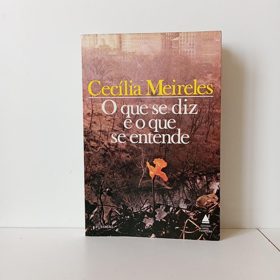 Miniatura: O Que Se Diz E O Que Se Entende - Cecília Meireles