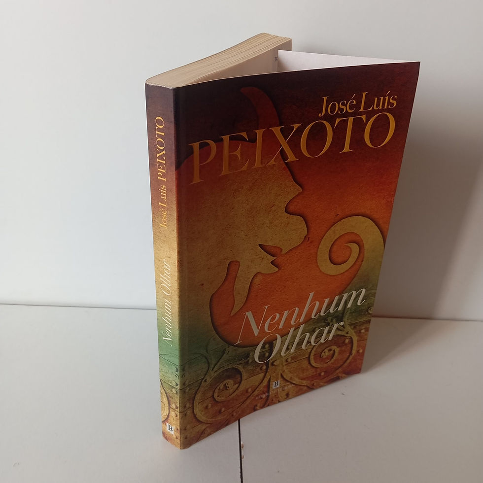 Miniatura: Nenhum Olhar - José Luís Peixoto