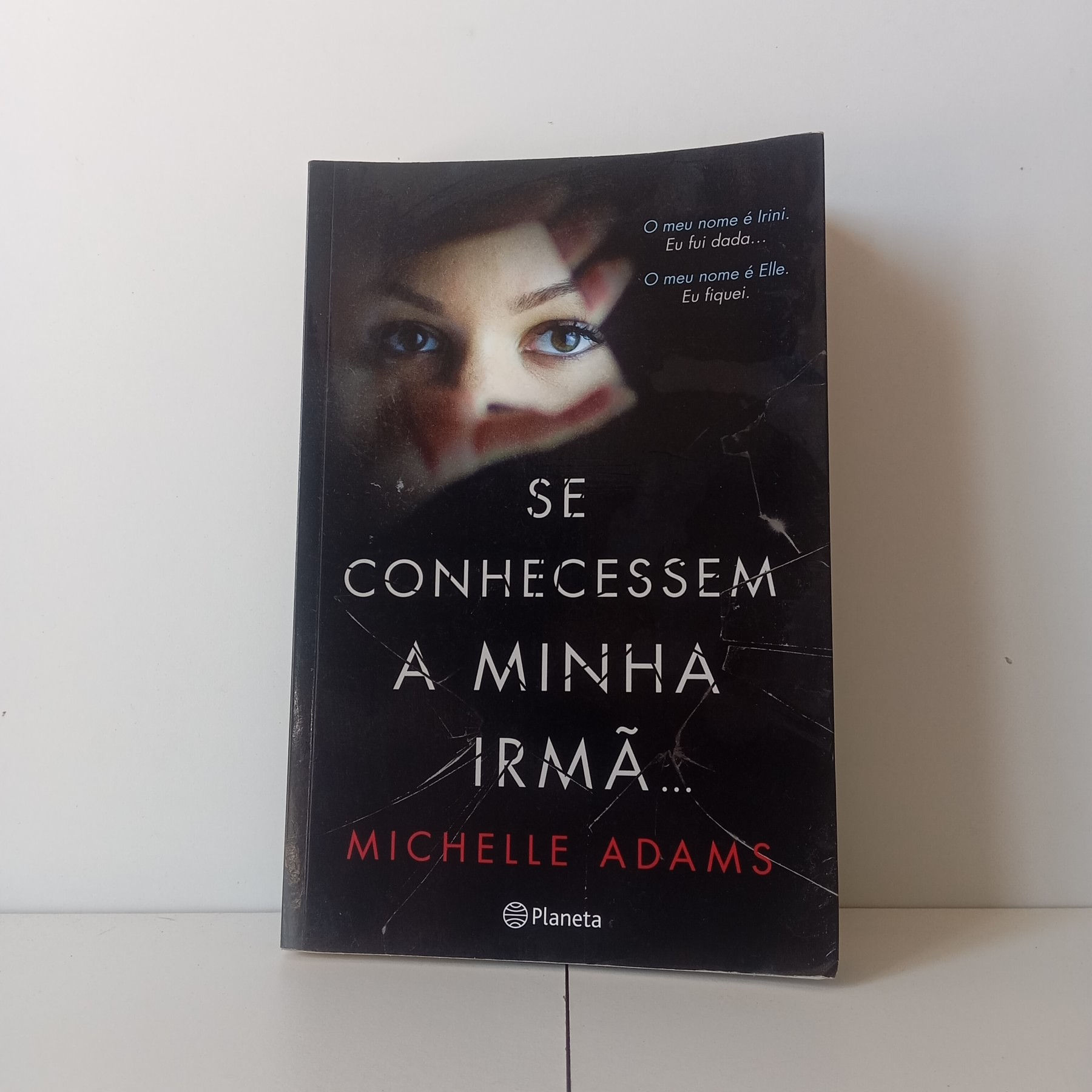 Se Conhecessem A Minha Irmã - Michelle Adams