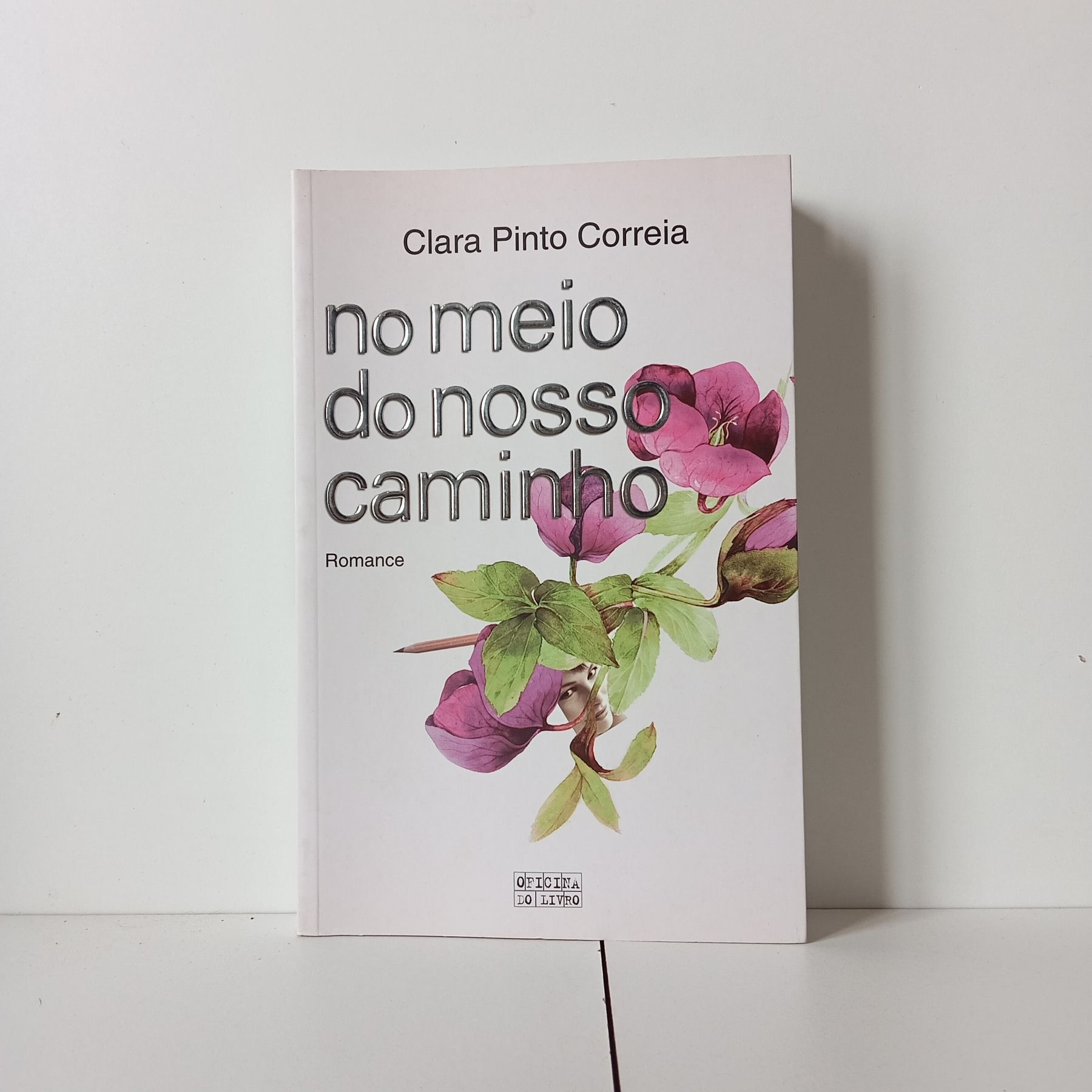 No Meio Do Nosso Caminho - Clara Pinto Correia