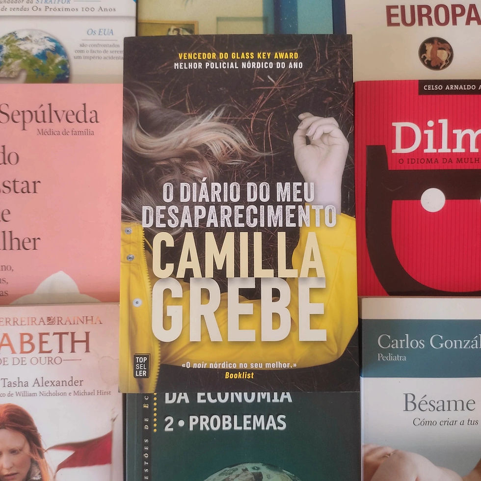 O Diário do Meu Desaparecimento - Camilla Grebe
