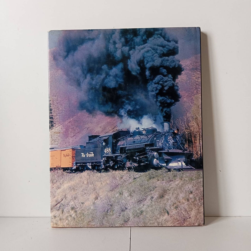 Miniatura: Steam Trains - Bernard Fitzsimons