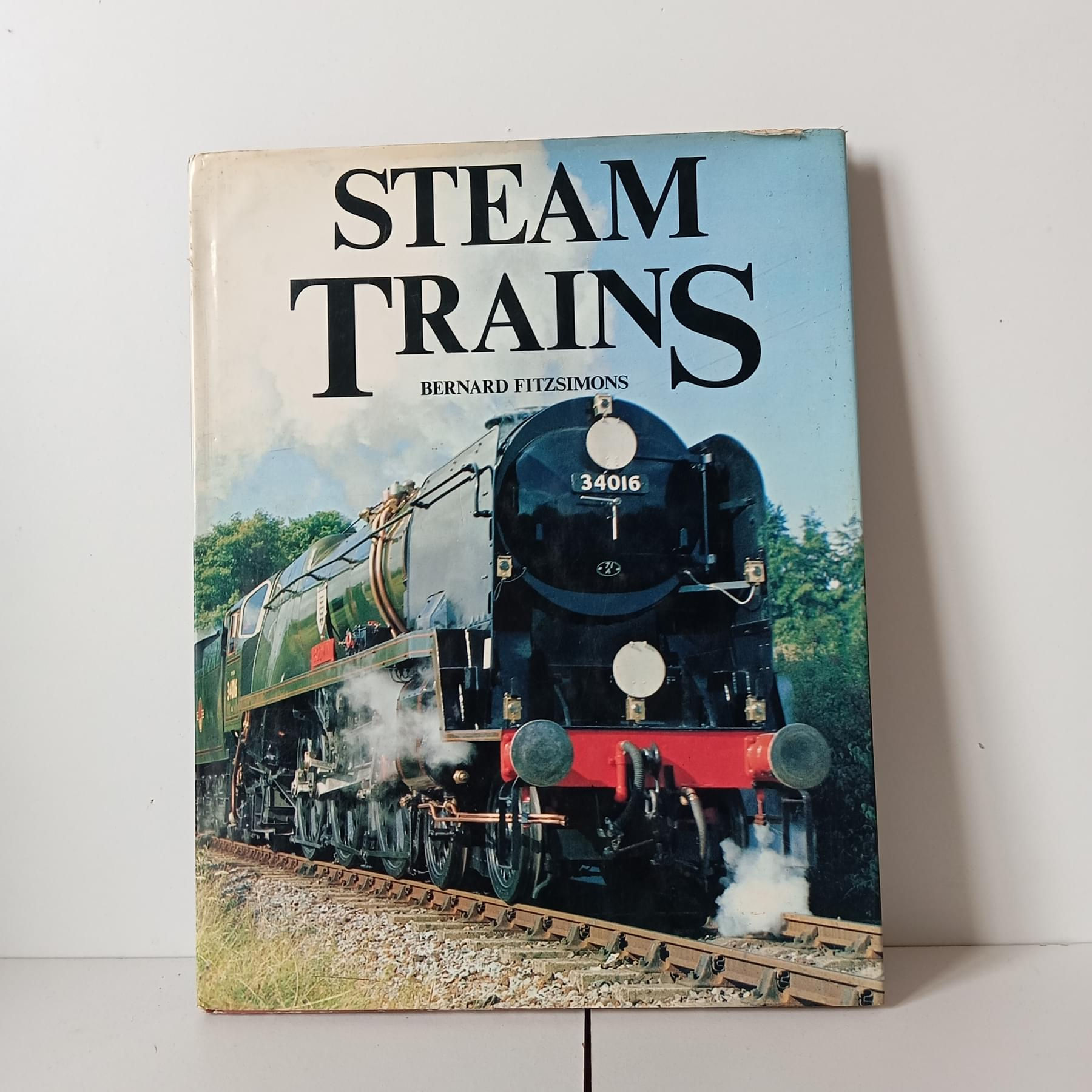 Steam Trains - Bernard Fitzsimons