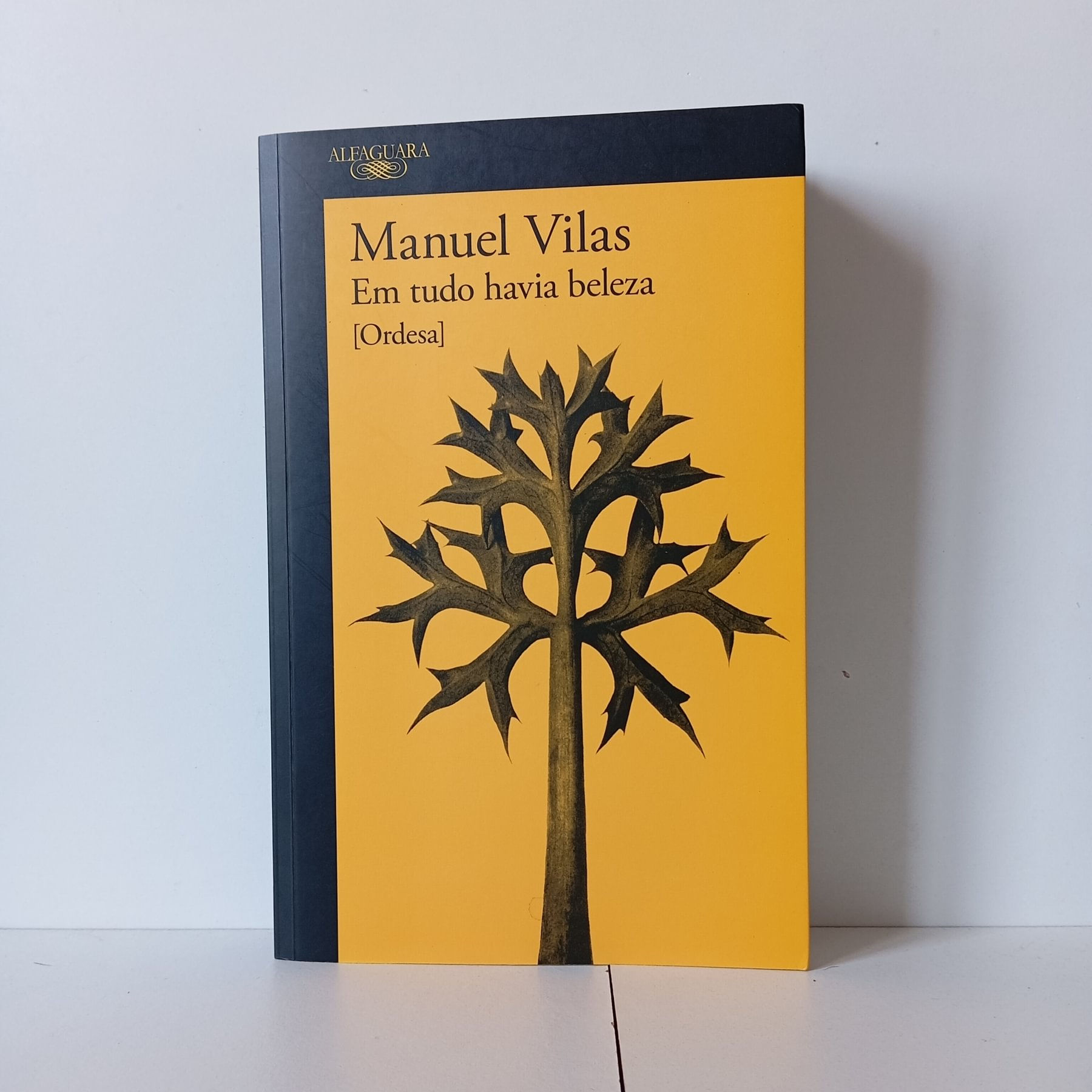 Em Tudo Havia Beleza - Manuel Vilas