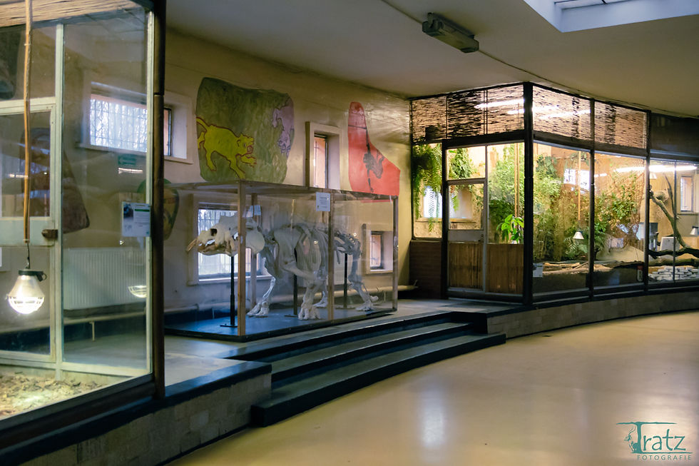 Tierhaus im Zoo Katowice, Polen, Tratz Fotografie