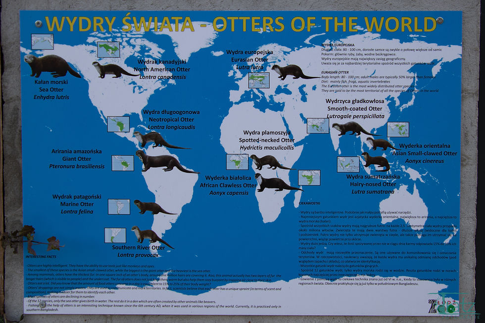 Infotafel über Otter in der Welt im Zoo Katowice, Polen, Tratz Fotografie