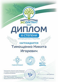 Тимощенко Н Экодиктант 2023 3 степени.jpeg