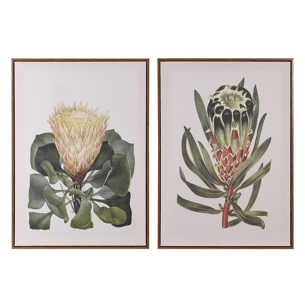 Set of 2 Large King Protea Prints