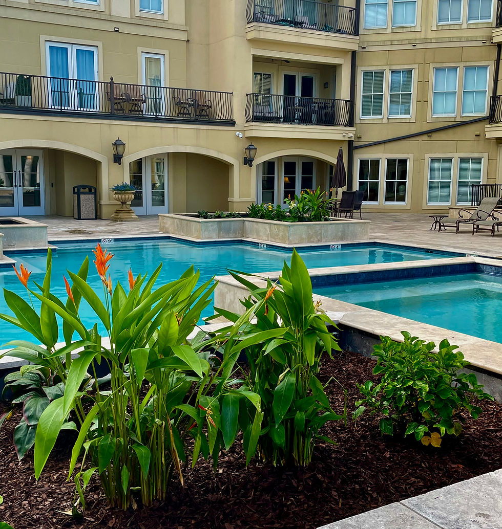 Pool Entrance