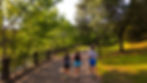 Edit for Wix Background_1.3.1-2.jpg