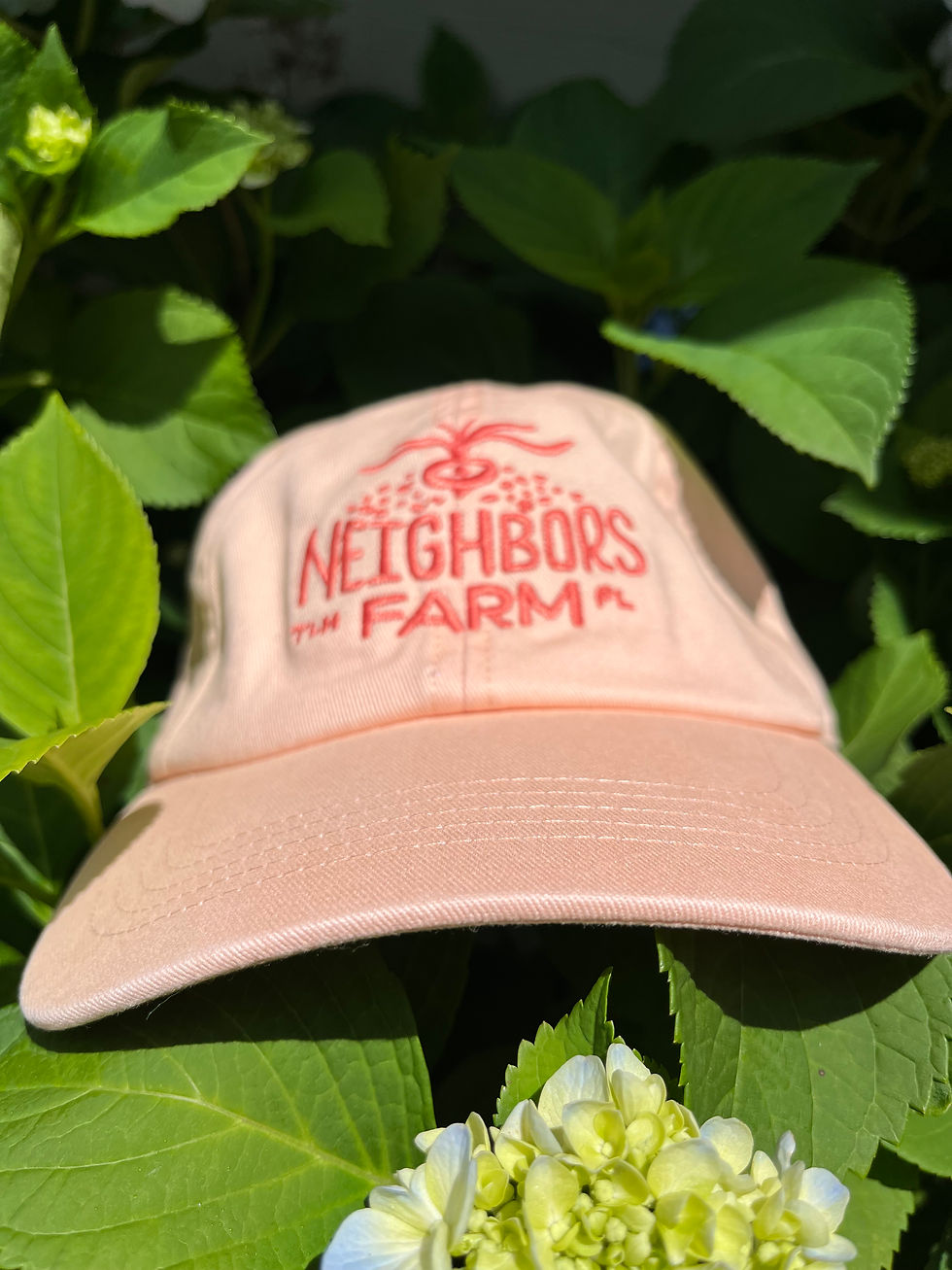 NF Hat