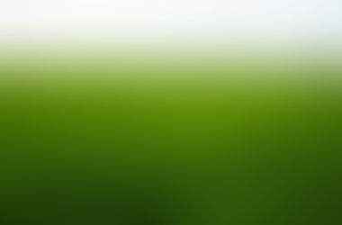 AUMENTÓ RENDIMIENTO DEL CULTIVO DE ARROZ EN EL META