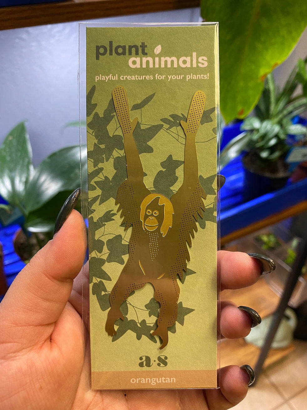 Thumbnail: Plant Animals