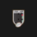 uaerugby2.jpg