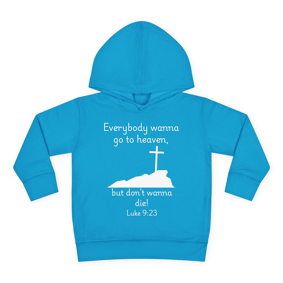 Thumbnail: Everybody Wanna Go… Toddler Fleece Hoodie