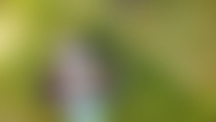 Partner İle İlgi Alanlarını Birleştirmek