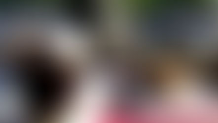 Duygusal Yeme Nedir, Nasıl Durdurulur?