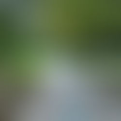 Kanada’da IFHP Programı ile Ücretsiz Psikoterapi