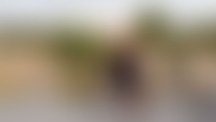 Neden Bir Hobi Edinmeliyiz?