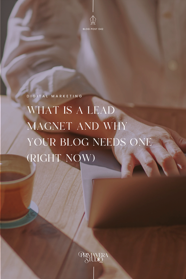 What Is a Lead Magnet and Why Your Blog Needs One (Right Now)