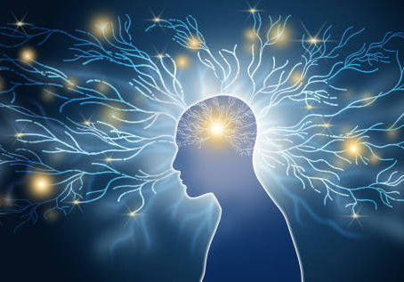 What Is Neuroplasticity? Why Every Therapist Should Understand How the Brain Changes