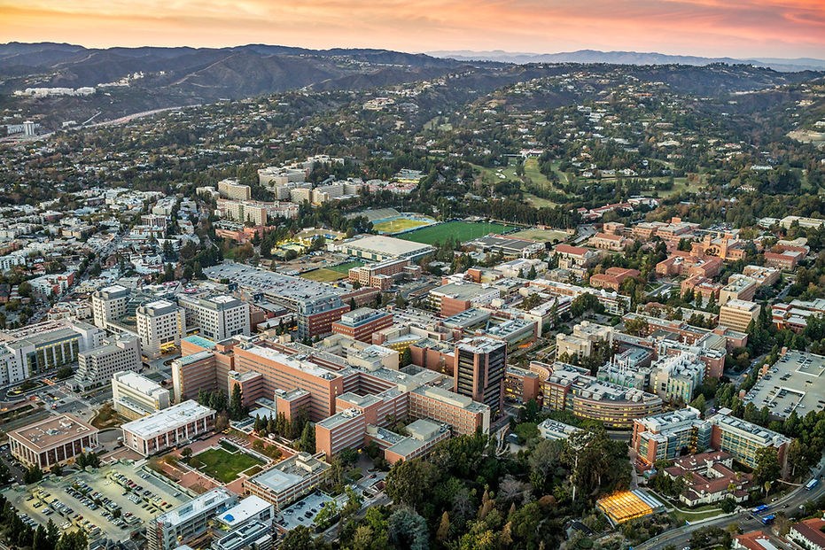 School banner image.jpg