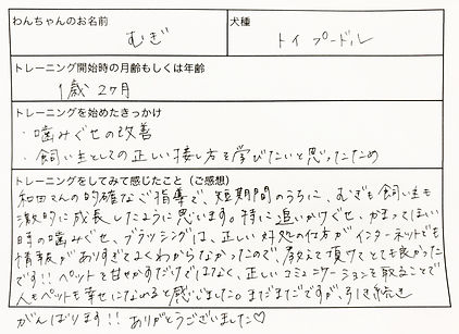ドッグトレーニング ドッグトレーナー 犬しつけ パピーパーティー 川口市 蕨市 戸田市