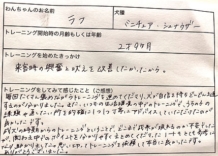 ドッグトレーニング ドッグトレーナー 犬しつけ パピーパーティー 川口市 蕨市 戸田市