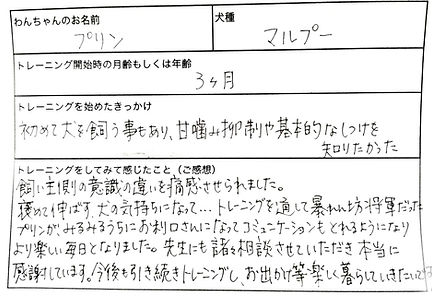 ドッグトレーニング ドッグトレーナー 犬しつけ パピーパーティー 川口市 蕨市 戸田市