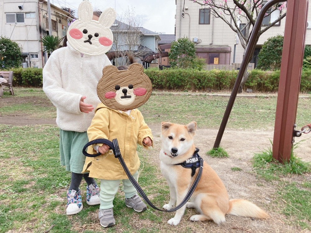 川口市 犬 しつけ ドッグトレーニング