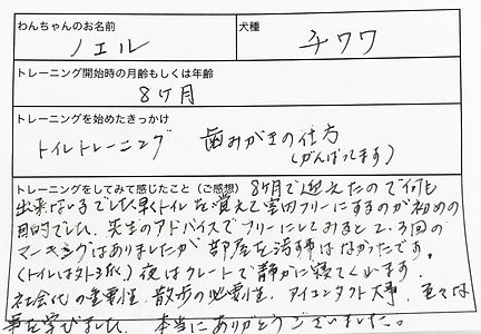 ドッグトレーニング ドッグトレーナー 犬しつけ パピーパーティー 川