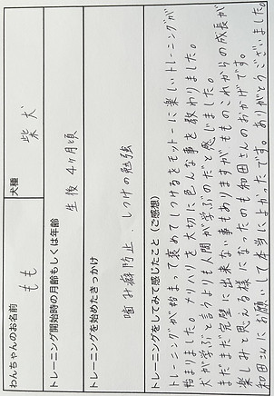 川口市 蕨市 戸田市 ドッグトレーニング 犬しつけ パピートレーニング ドッグトレーナー