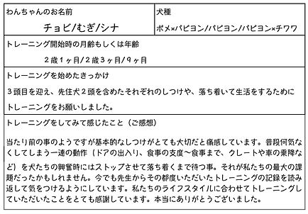 ドッグトレーニング ドッグトレーナー 犬しつけ パピーパーティー 川口市 蕨市 戸田市