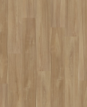 Parker Hill Hybrid