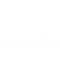 Octagon logo_Transperant (1)_edited.png