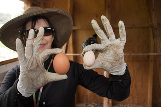 Devra Lander and eggs