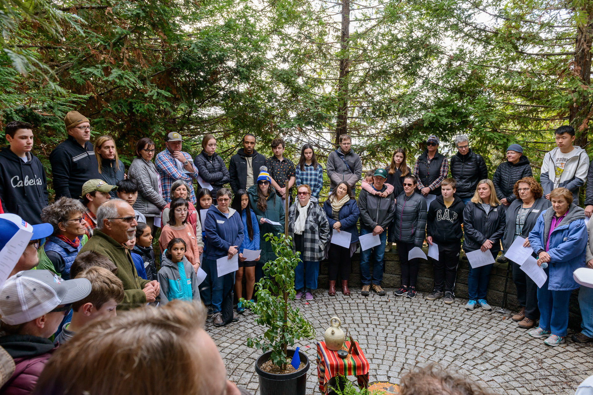Anna Costa Tree Planting