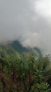 The Mountain.
